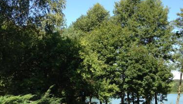 Agroturystyka Lisa Młyn - Foto 5, Garden