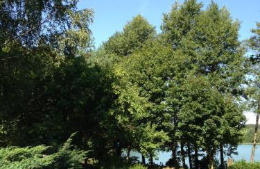 Agroturystyka Lisa Młyn - Foto 5