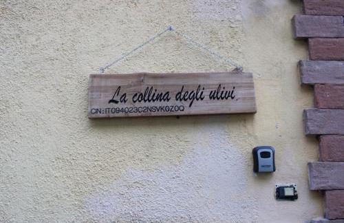 La collina degli ulivi - Foto 21