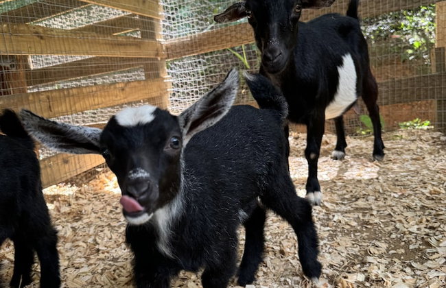 HACIENDA ILUMINADA ECO RETREAT - Foto 26