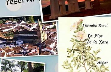 La Flor De La Xara - Foto 1