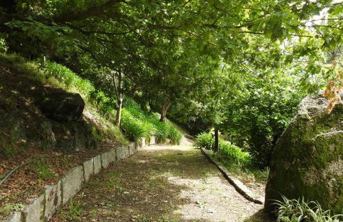 Quinta de S. Vicente 317 - Foto 68