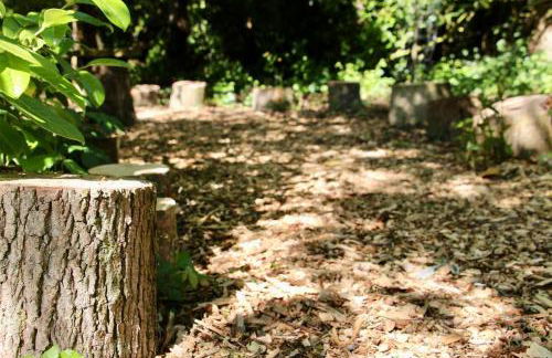 The Little Barn - Foto 62