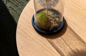 Dormideira - Foto 18