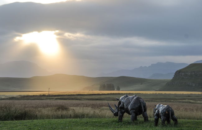 Moorcroft Manor Boutique Country Hotel - Photo 78