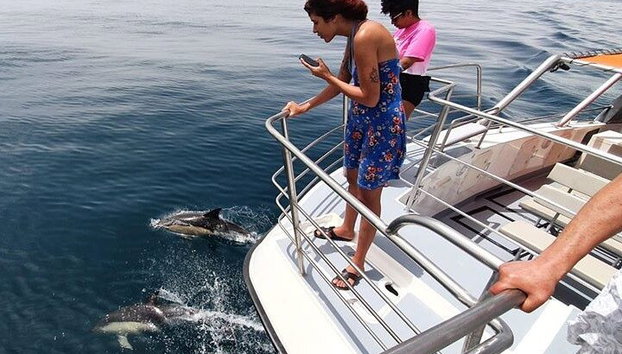 Von Lagos : Familienweg - Delfinbeobachtungsfahrt auf einem Katamaran - Foto 5, Die Aussichtsplattform im vorderen Teil des Katamarans bietet Ihnen die besten Blickwinkel für Bilder dieser erstaunlichen Tiere