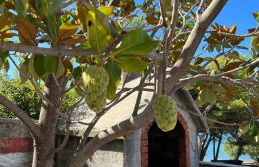 Augustin. welcome home - Foto 24