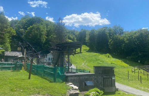 Cozy Ski in out Cabin in Berkshire Resort - Foto 16