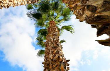 Oasis Beach nice ground floor bungalow overlooking the pool and garden - Foto 33