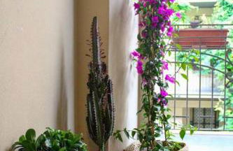 Sempione Studio - Photo 33