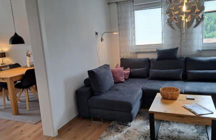 Ferienwohnungen Sachsenblick - Foto 42