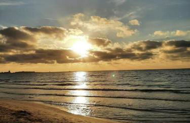 Le Giraffe ( n.CIS LE07503191000035725) - Foto 15