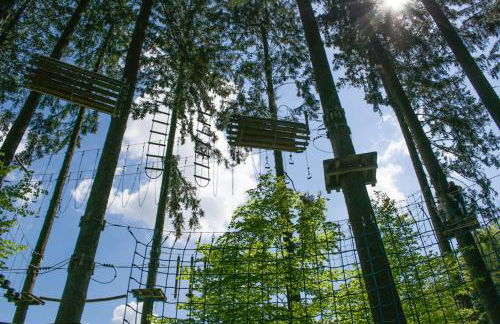 Ferienwohnung Holzinger - Foto 32