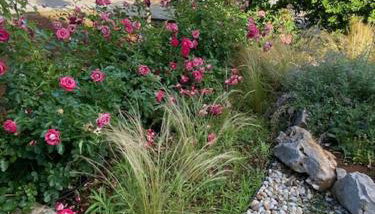 Apartment Tasha - Foto 5, Garden