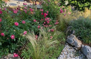 Apartment Tasha - Foto 5