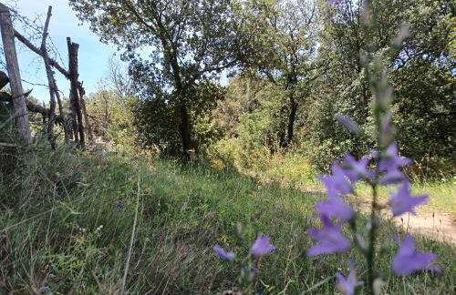 Maison Magnolia - Foto 44