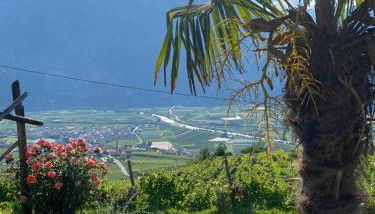 Agritur Chalet Belvedere - Foto 2