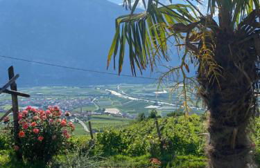 Agritur Chalet Belvedere - Foto 2