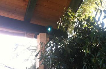 Apartments Ivica Mateljak - Foto 32