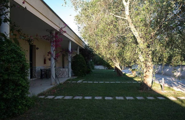 La Carcara - Photo 31