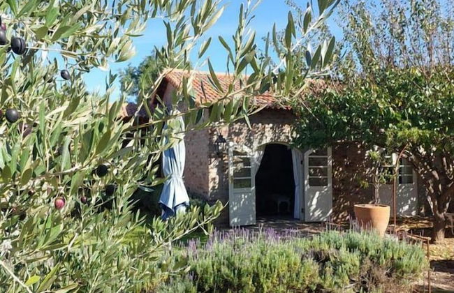 Hartland Country House - Foto 65