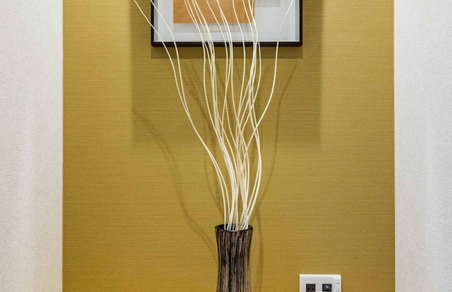 JAPAVISTA Fuji - Foto 76