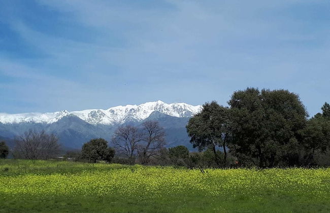 Sakura Vera - Foto 47