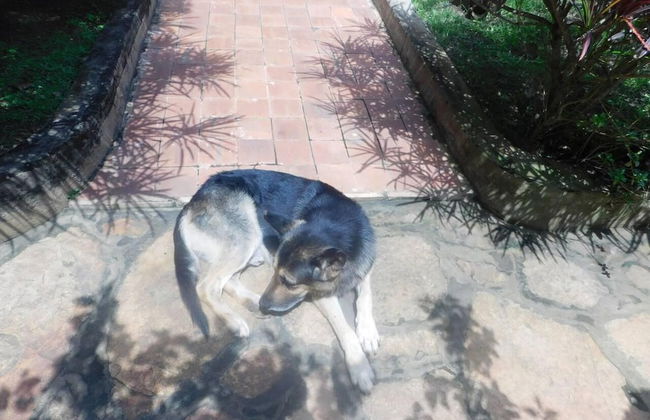 Remarkable 2-bed Cottage Along Gayaza Road - Foto 20