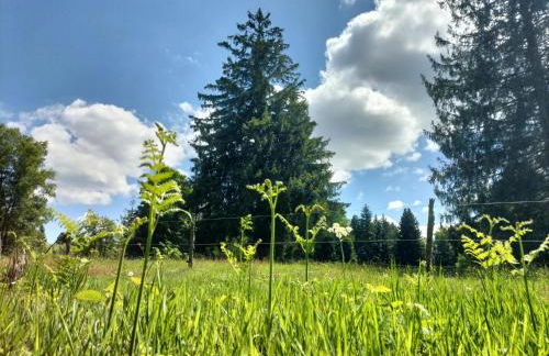 Gite les Baudy - group for 20 people - Foto 44