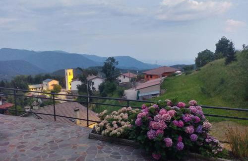 Ciclaminis - Photo 1