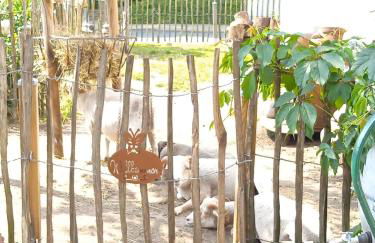 Ferienhaus mit Minibauernhof - Photo 32