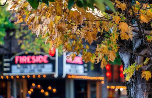 Stay Portland - 1906 Carl & Margaret Hoeber World's Fair House - Foto 30