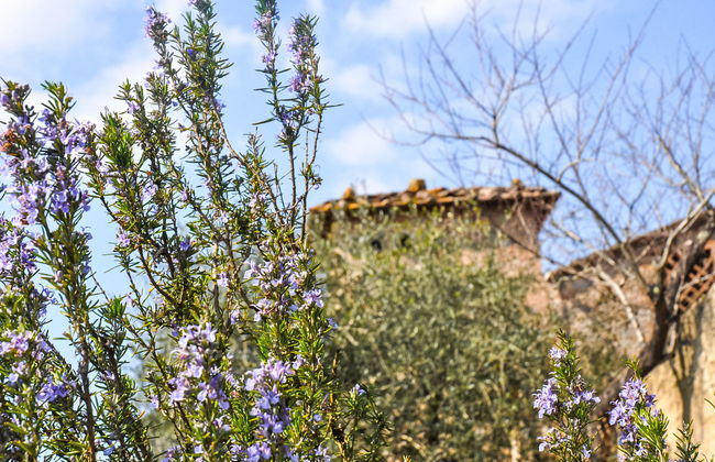 Il Ligustro - Foto 22