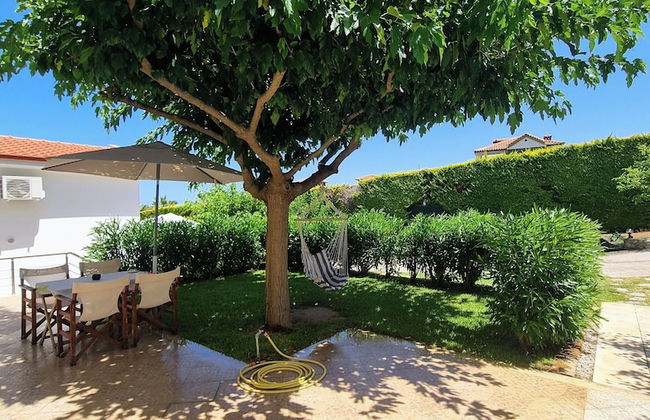 Ktima Amitsa - Foto 37