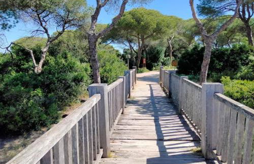 apartamento en Puerto Real - Foto 38