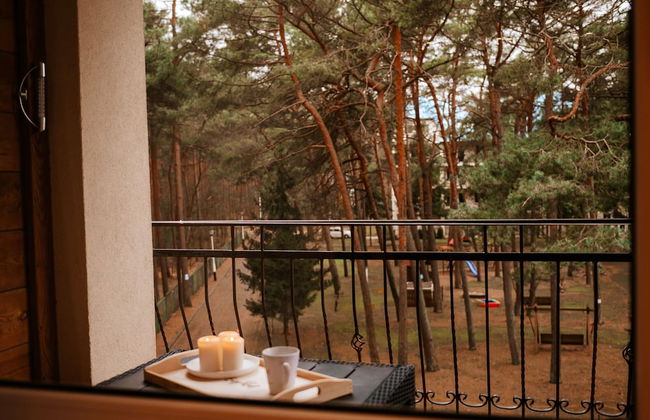 Apartment in Lukecin Near Baltic Sea - Photo 22