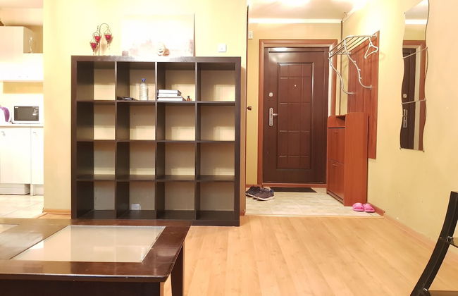 DeLuxe Apartment On The Academic - Photo 3