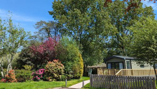 Sarn Y Glyn in Mid Wales Cambrian Mountains near Llanidloes Powys - Foto 1, Garden, Garden view