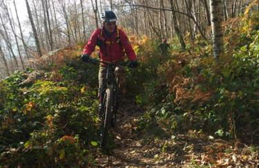 A CASA DI SISSI - Foto 38