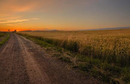 Jerzwałd 14 - Foto 38