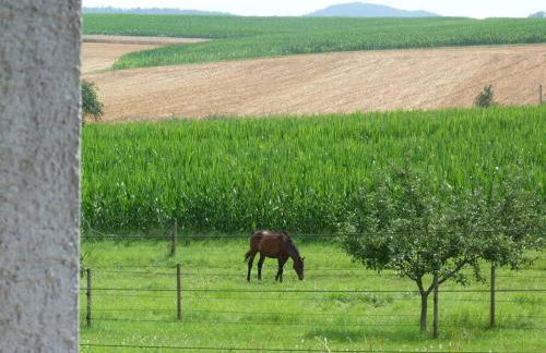 Bauernhof Obersulm-Eschenau Schwäb.Toskana - Foto 6