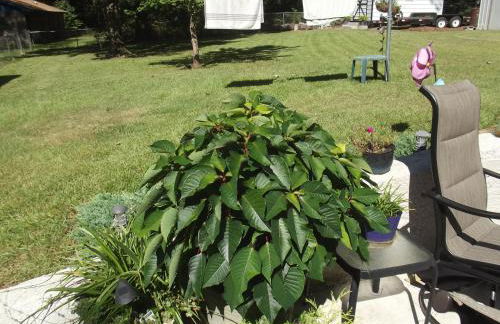 Ferienwohnung Seifert - Foto 2