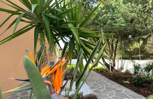 My Happy Place - Foto 35