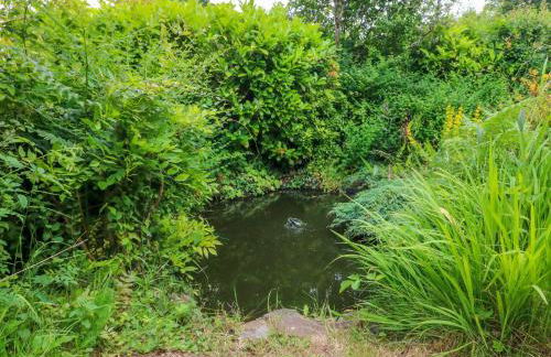 Rose Cottage - Foto 30