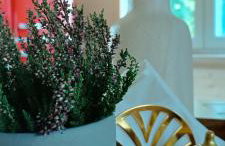 Osada California - Foto 69