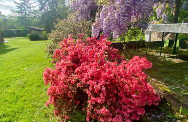 Villa Giulia - Marguareis - Foto 47