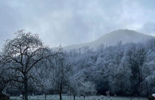 Le Relais du Piémont Ottrott - Mont Sainte-Odile- Champs du feu - Photo 35
