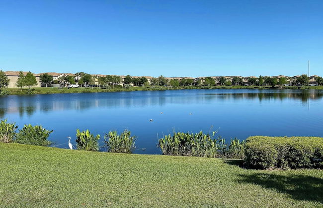 Blue Bengal Paradise - Foto 61