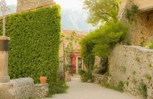 Chateau des Gipières bij de Mont Ventoux - Foto 68