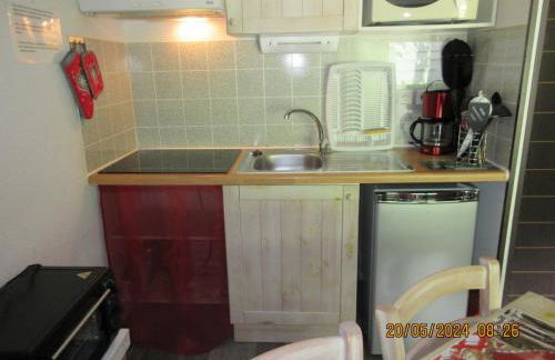 Studio Ceriséma Pyrénées Zénith - Foto 11